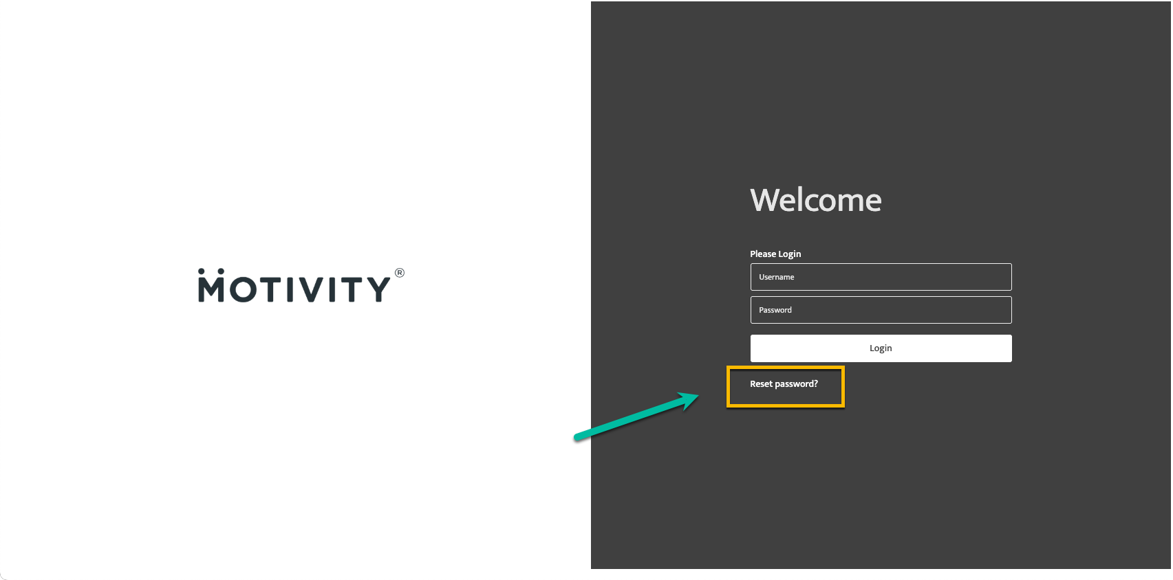 reset-password